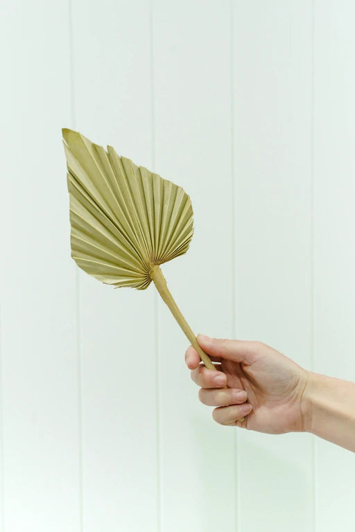 Dried Palm