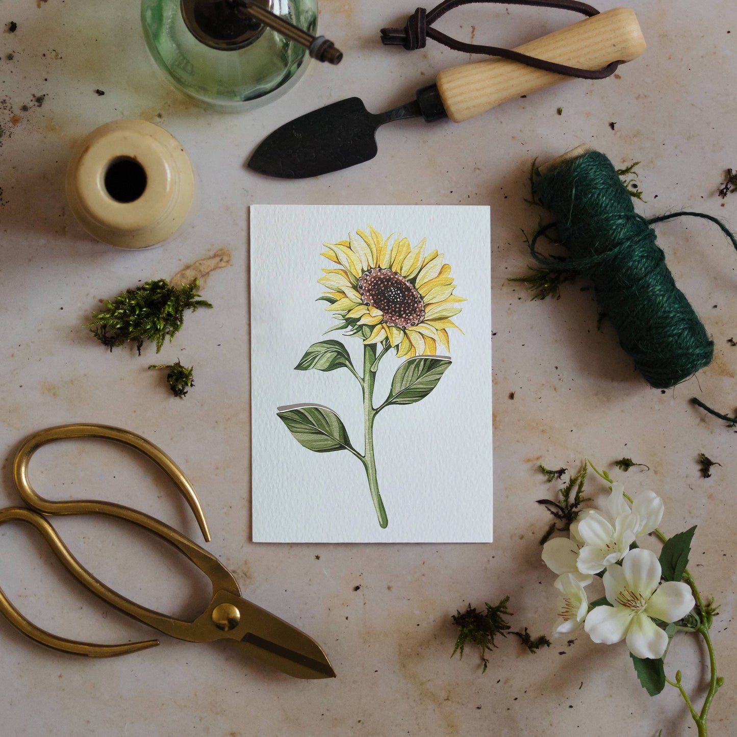 Sunflower Pop Out Floral Watercolour Greetings Card