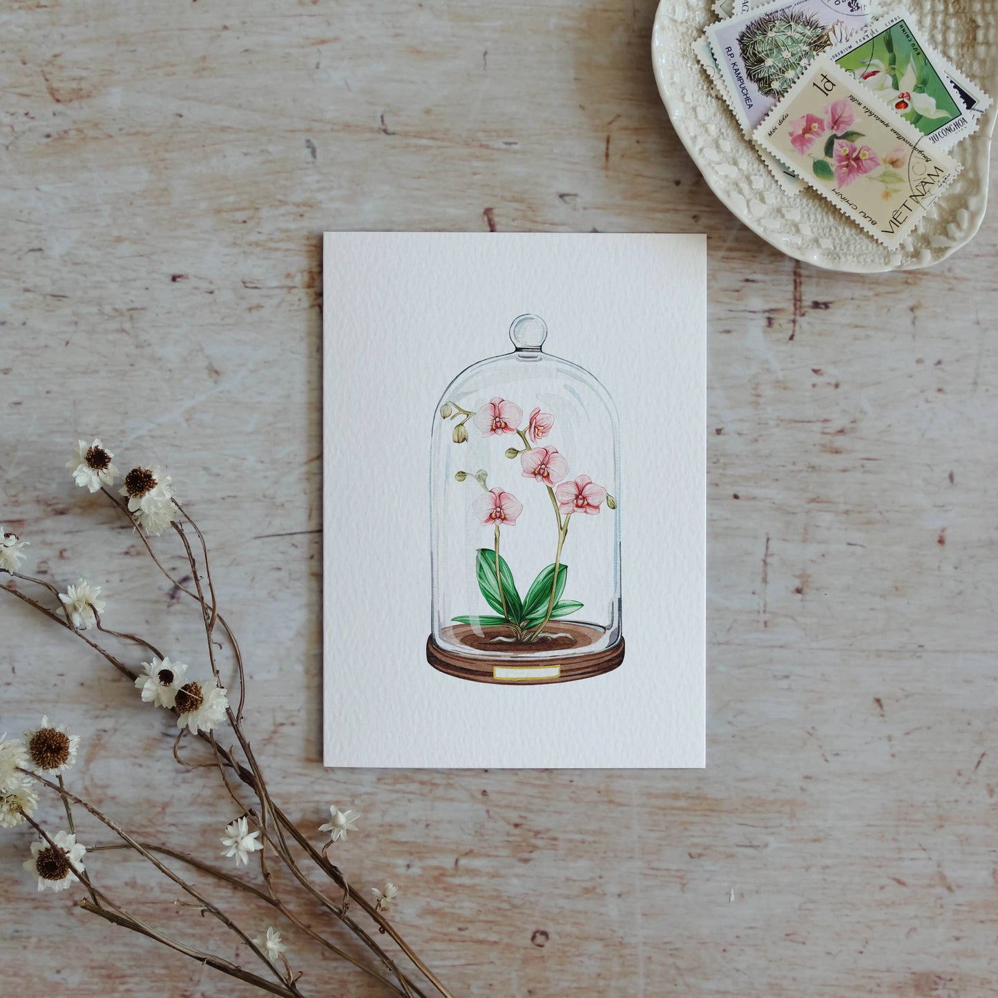 Orchid Floral Display Watercolour Sustainable Greetings Card