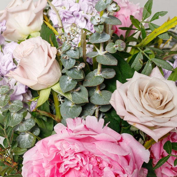 Peony Florists Choice
