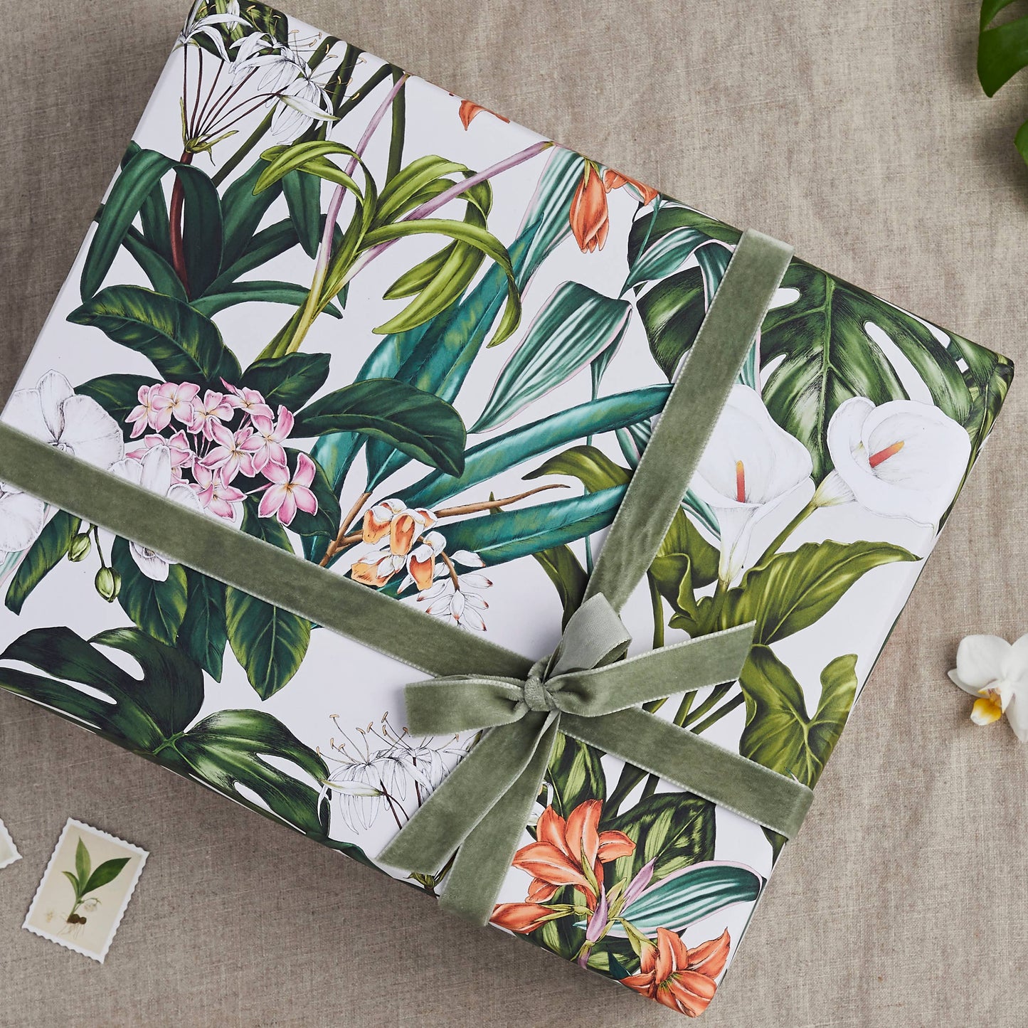 Palm House Tropics - Ivory - Gift Wrap