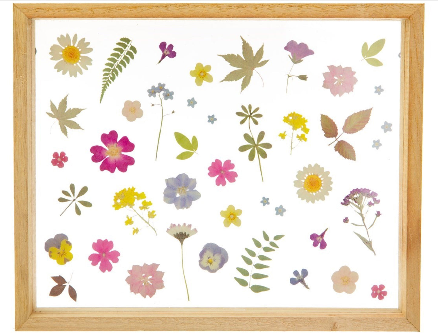 Pressed Flower Frame