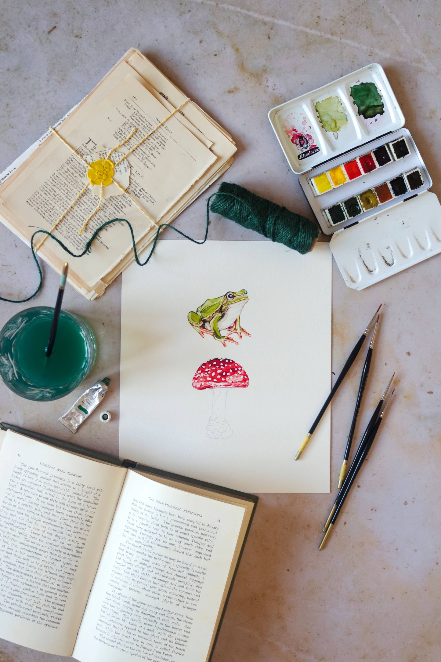 Garden Frog Watercolour Sustainable Greetings Card