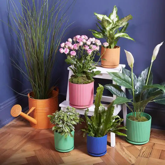 Cresta Flowerpot