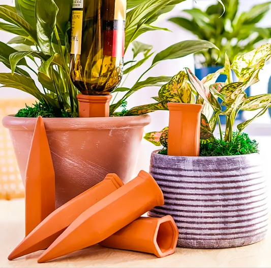 Terracotta Plant Drip Feeder