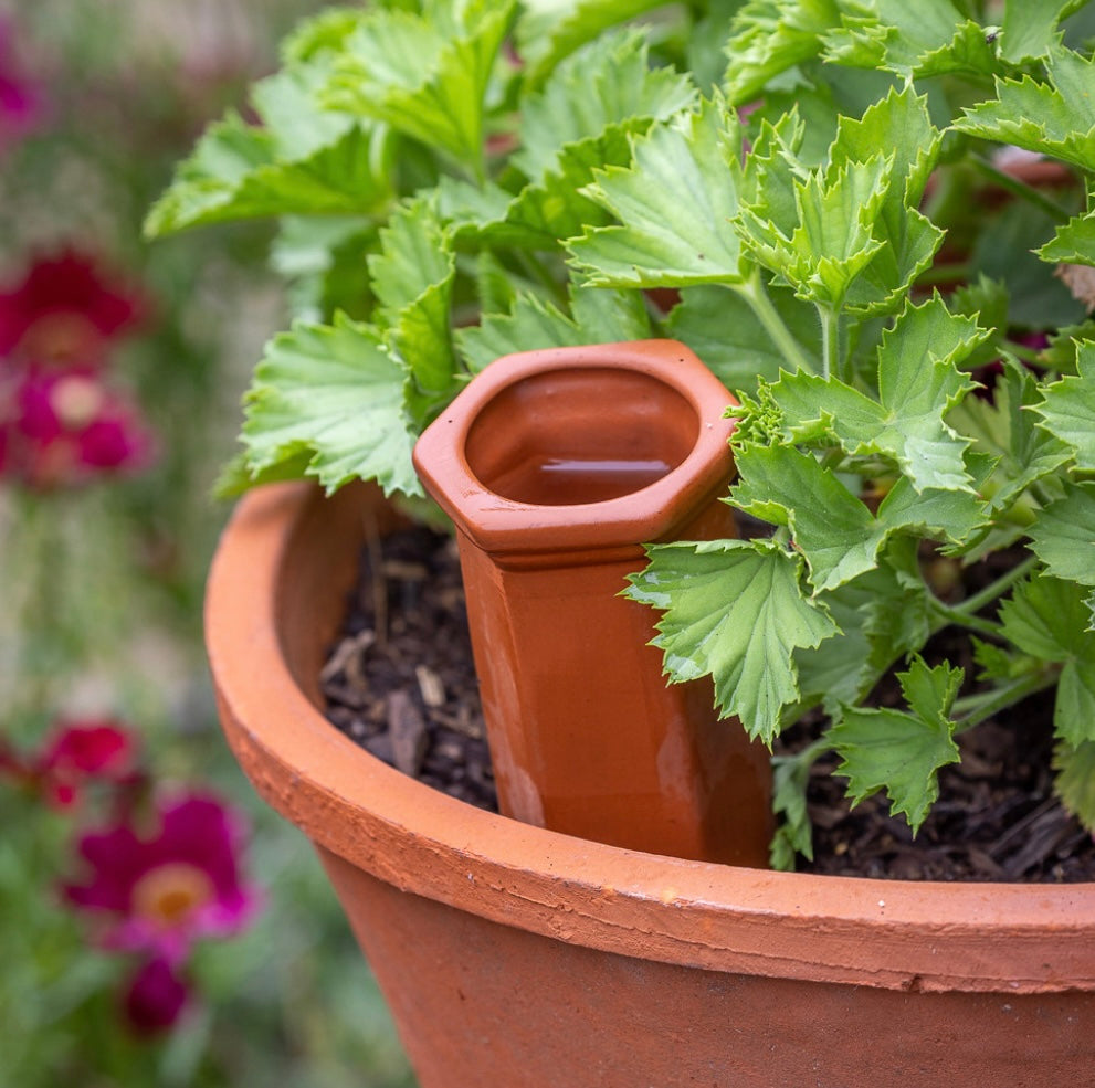 Terracotta Plant Drip Feeder