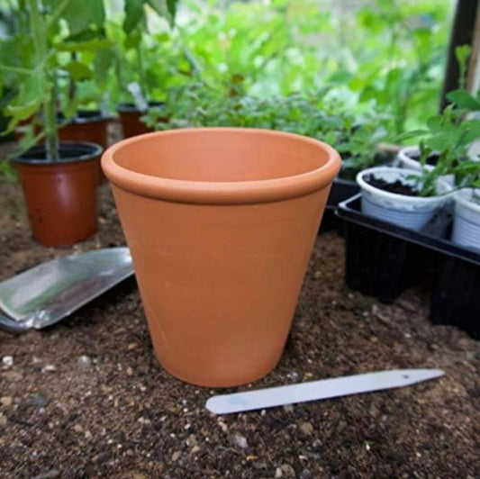 Terracotta Pot