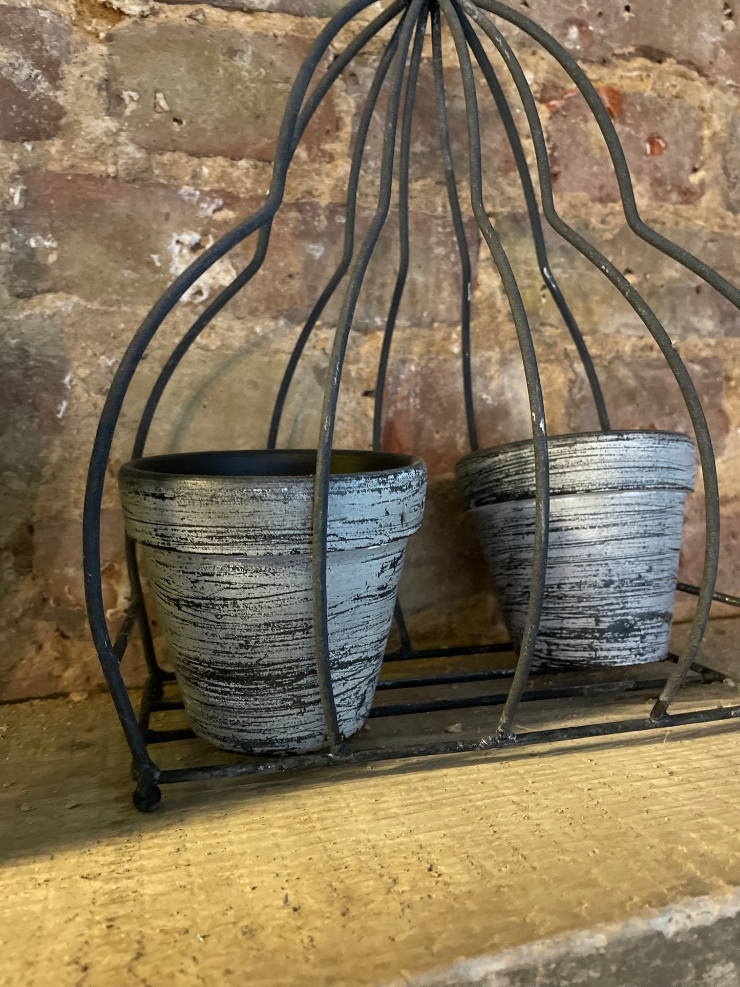 Bird Cage Planter