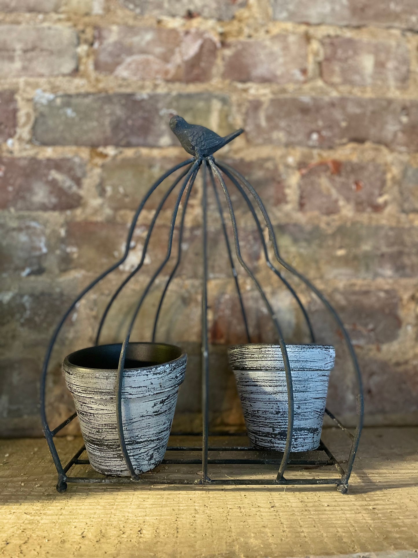 Bird Cage Planter