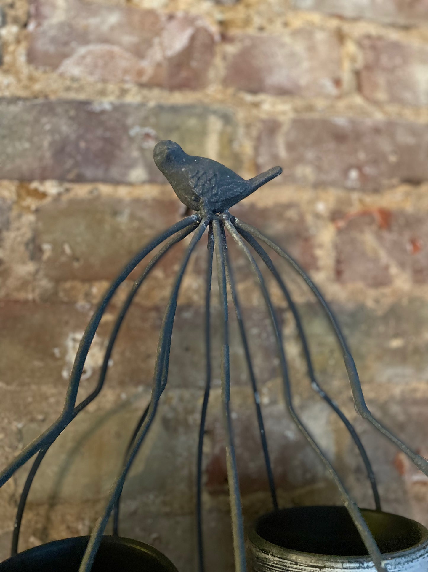 Bird Cage Planter