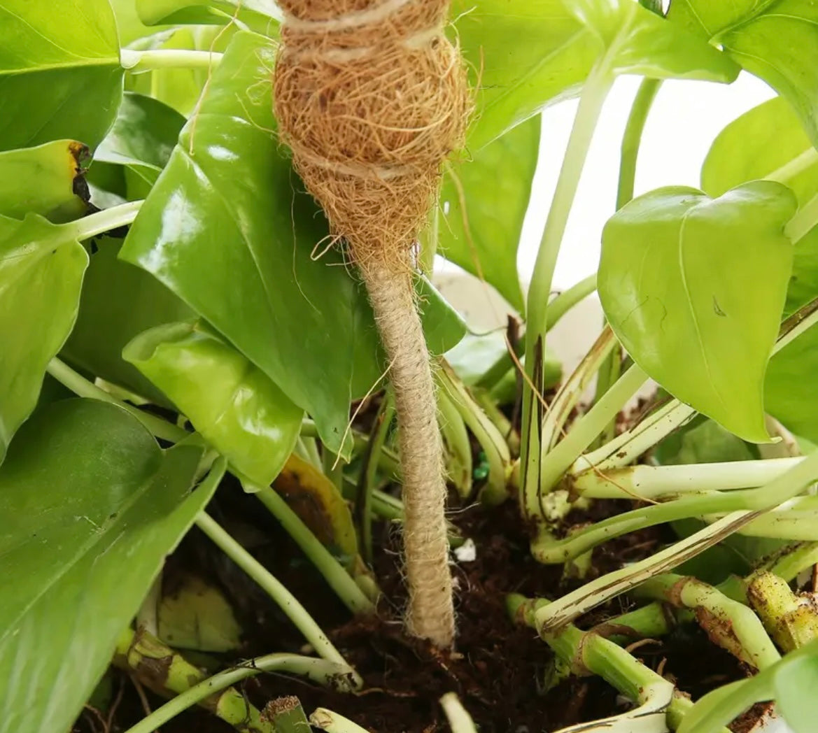 Coir Coconut Pole