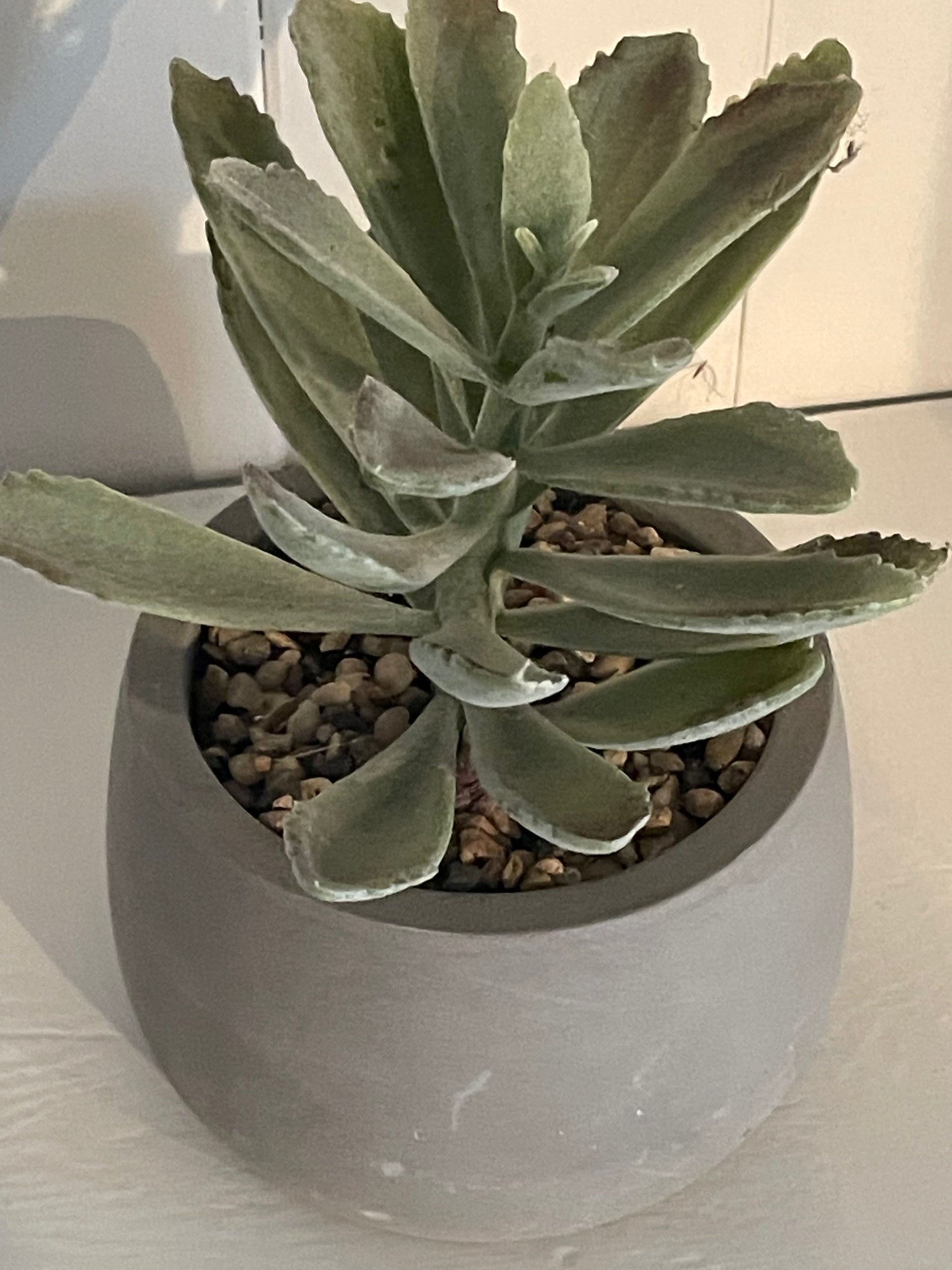 Faux Succulent