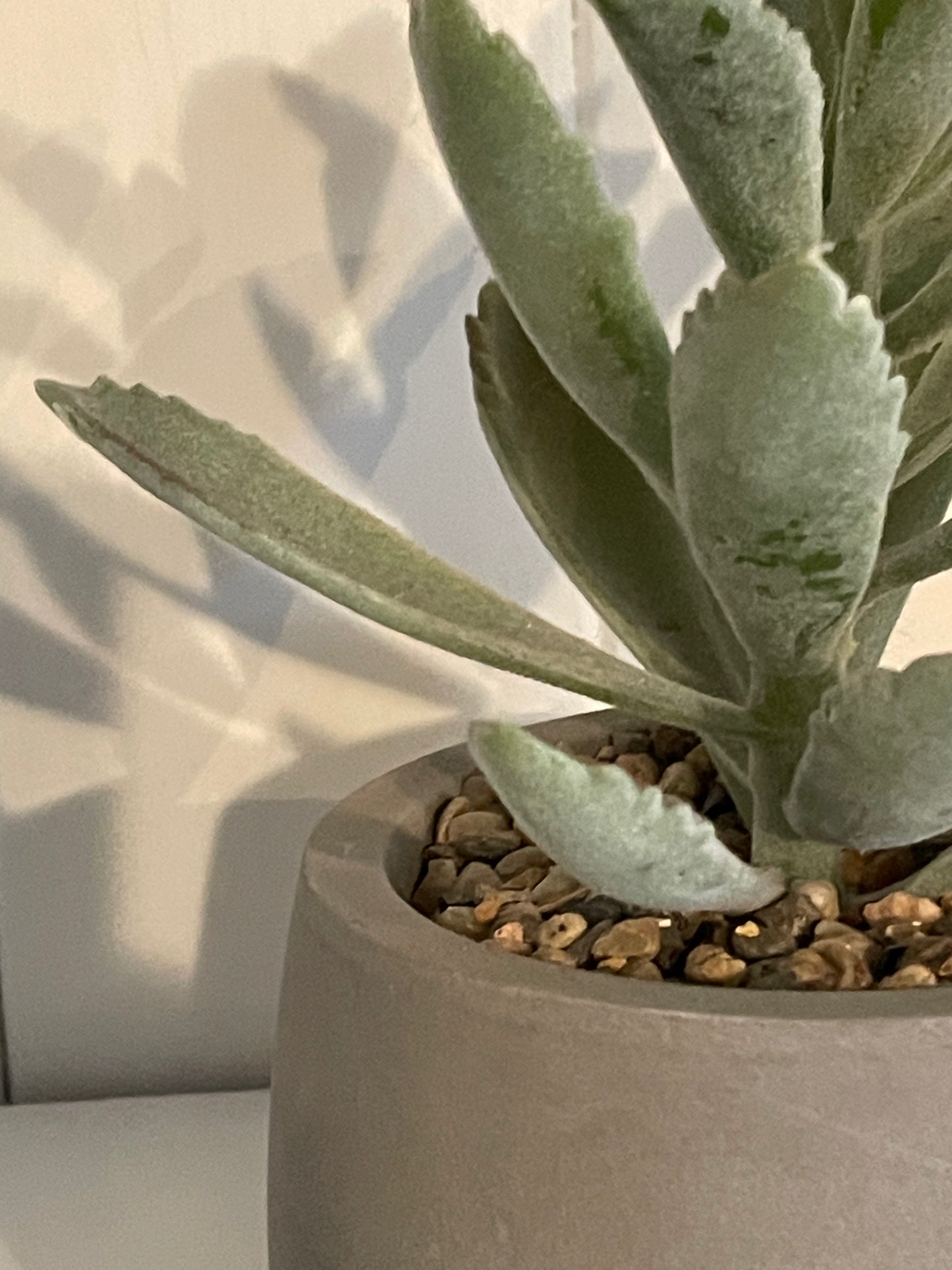 Faux Succulent
