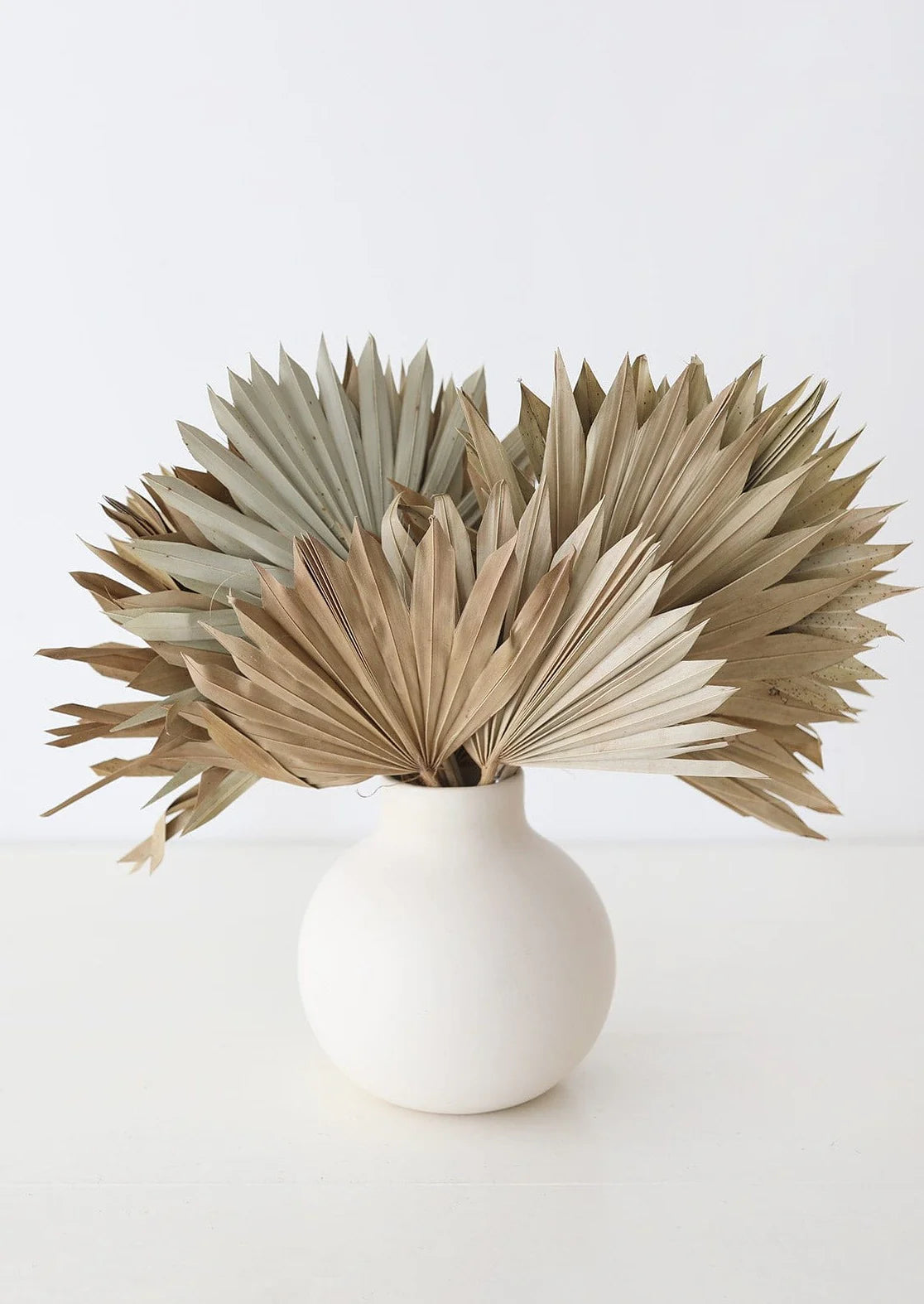 Dried Sun Palm