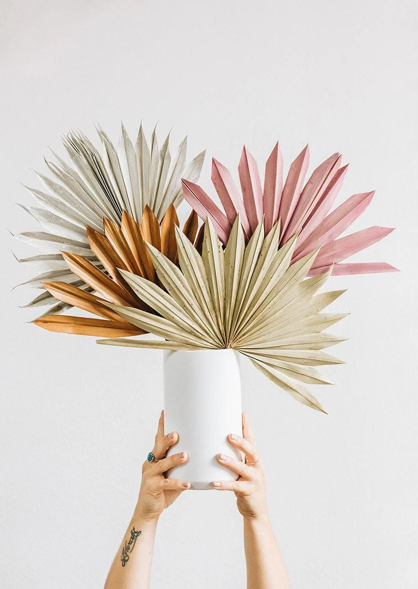 Dried Sun Palm