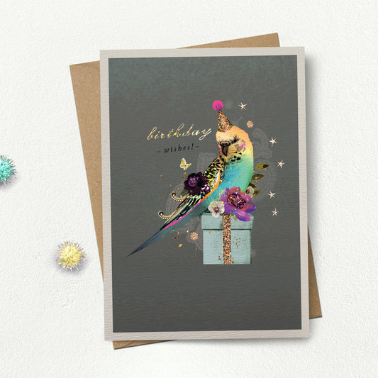 Birthday Wishes Budgie