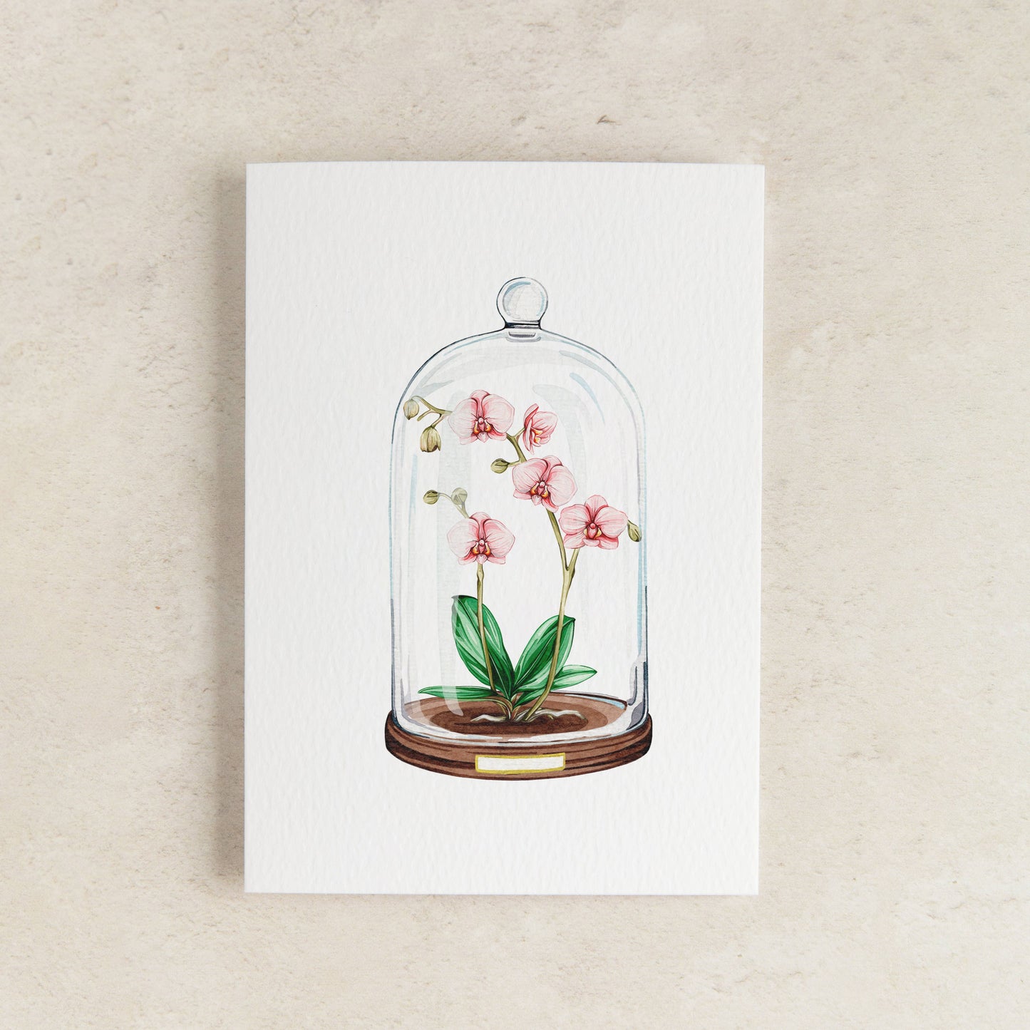 Orchid Floral Display Watercolour Sustainable Greetings Card