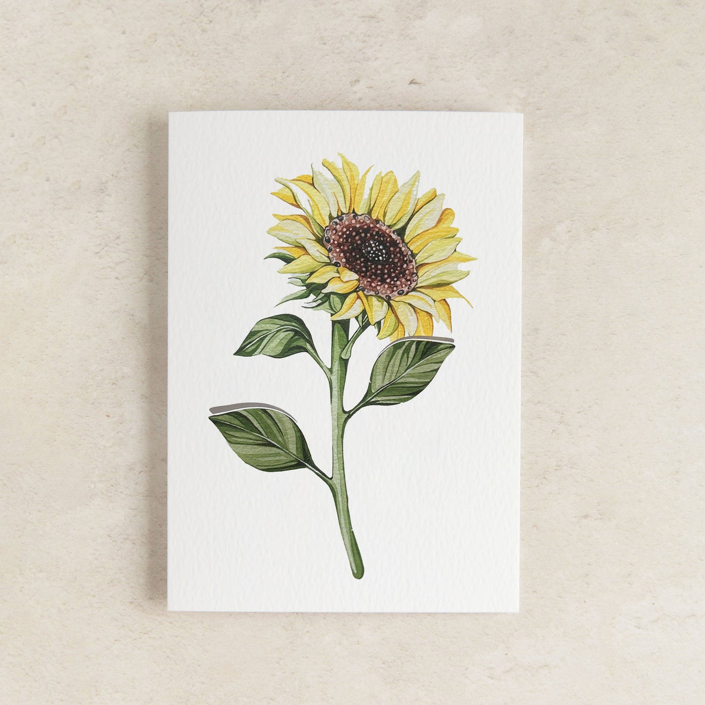 Sunflower Pop Out Floral Watercolour Greetings Card