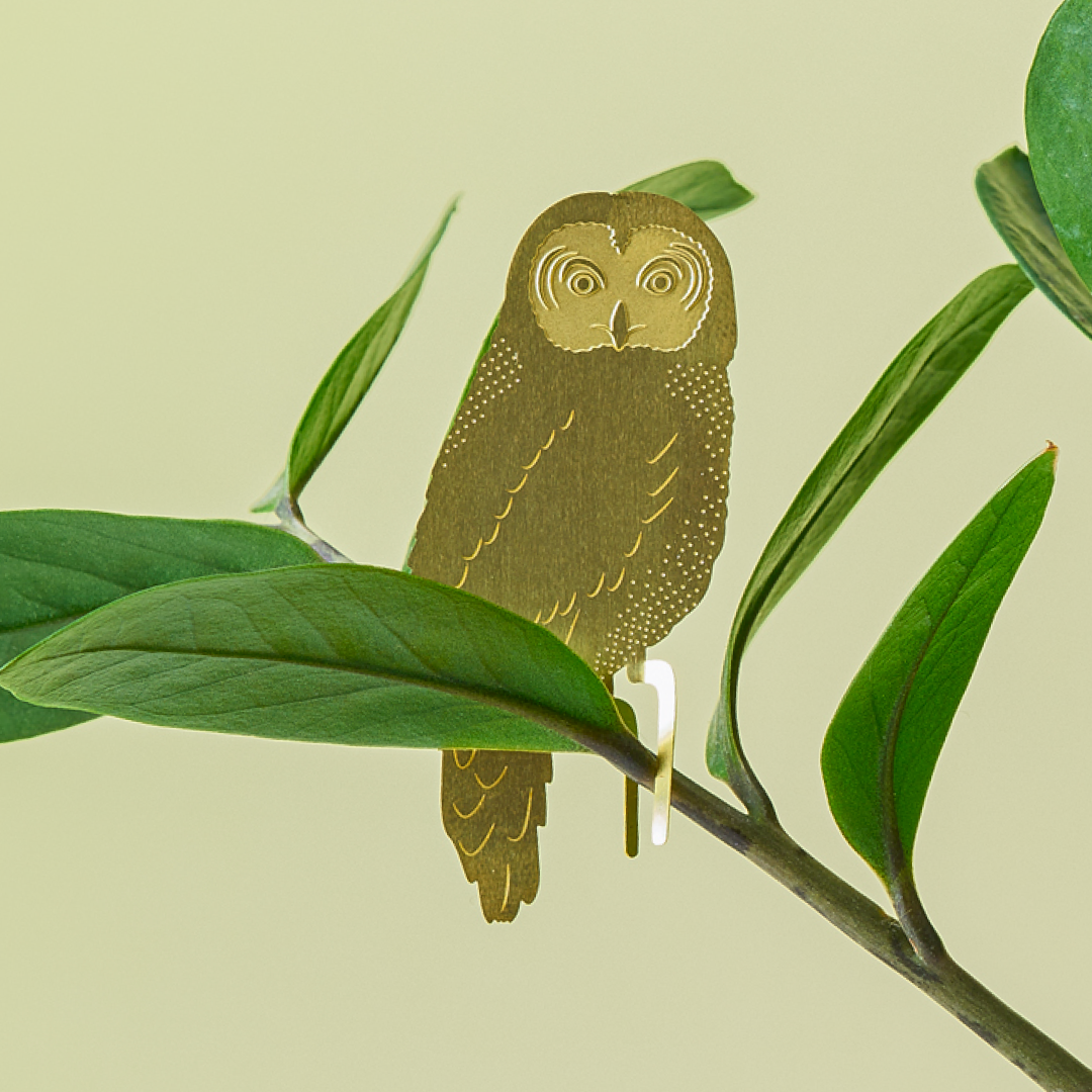 Plant Animals