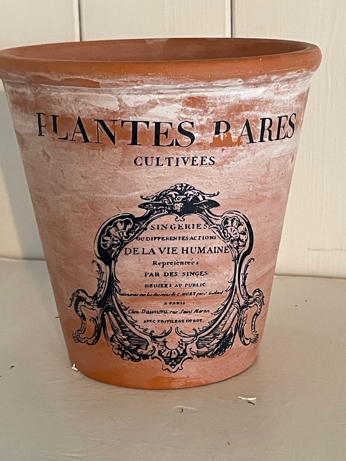 Vintage Terracotta Pot