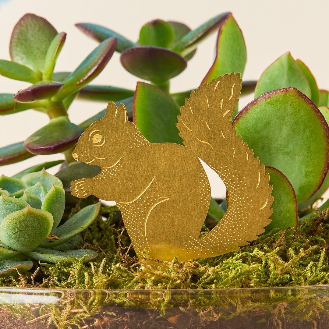 Plant Animals