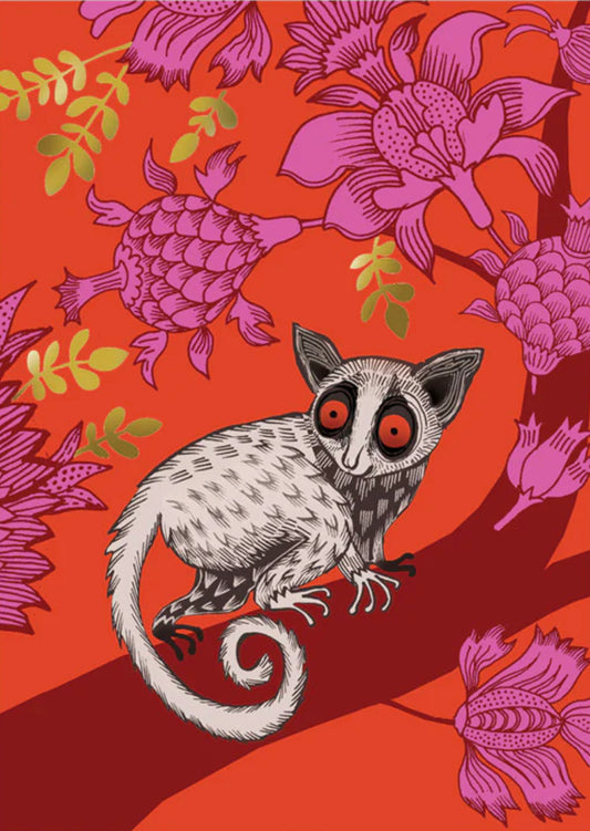 Bush Baby Greetings Card