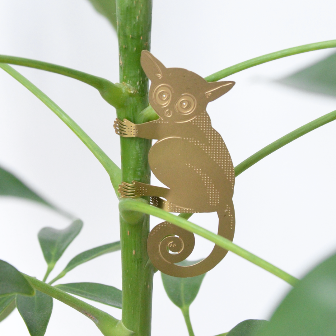 Plant Animals