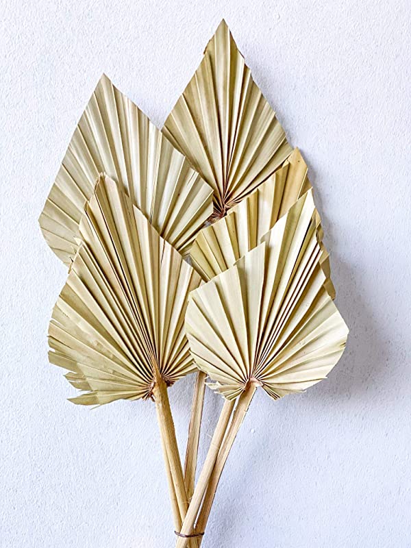 Dried Palm