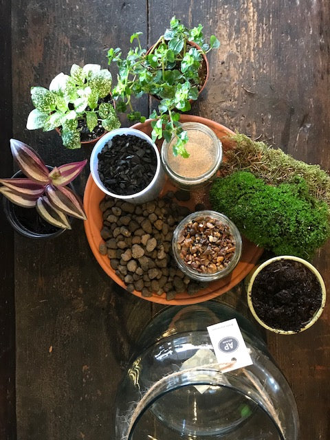 DIY Terrarium Kit