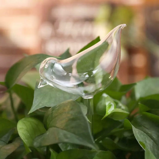 Plant feeder