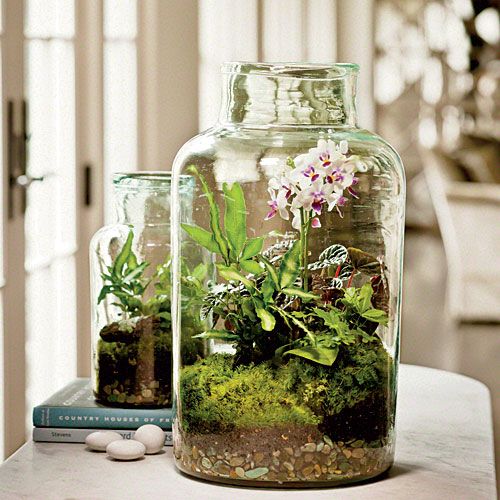 Glass Terrarium