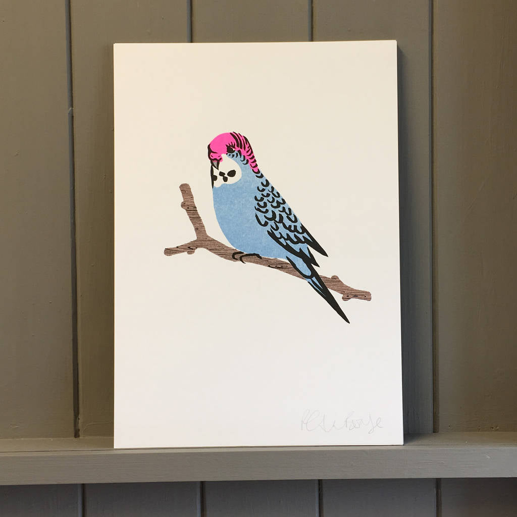 Blue Budgie Lithograph Print