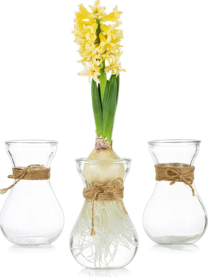 Bulbous Vase