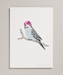 Blue Budgie Lithograph Print