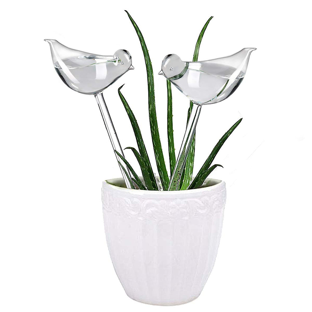 Plant feeder