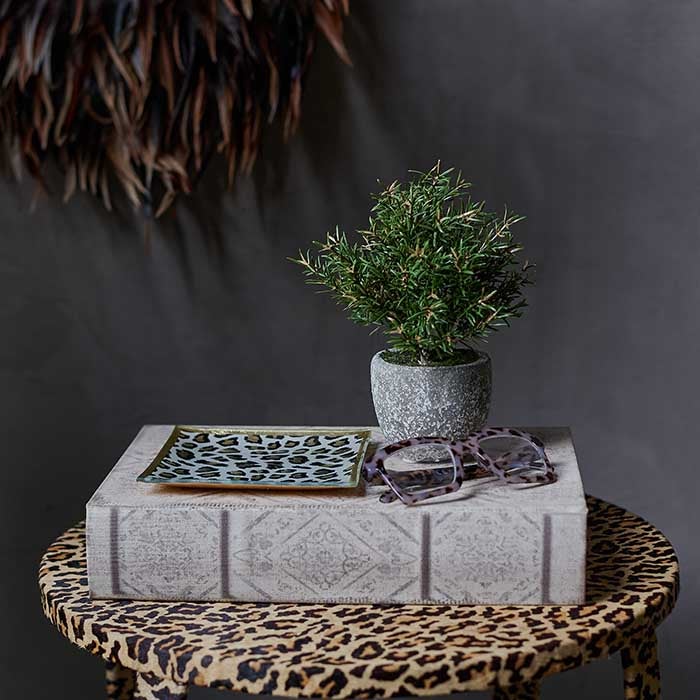 Leopard Print Glass Trinket Tray