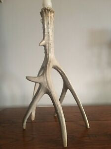 Resin Deer Antler Candleholder
