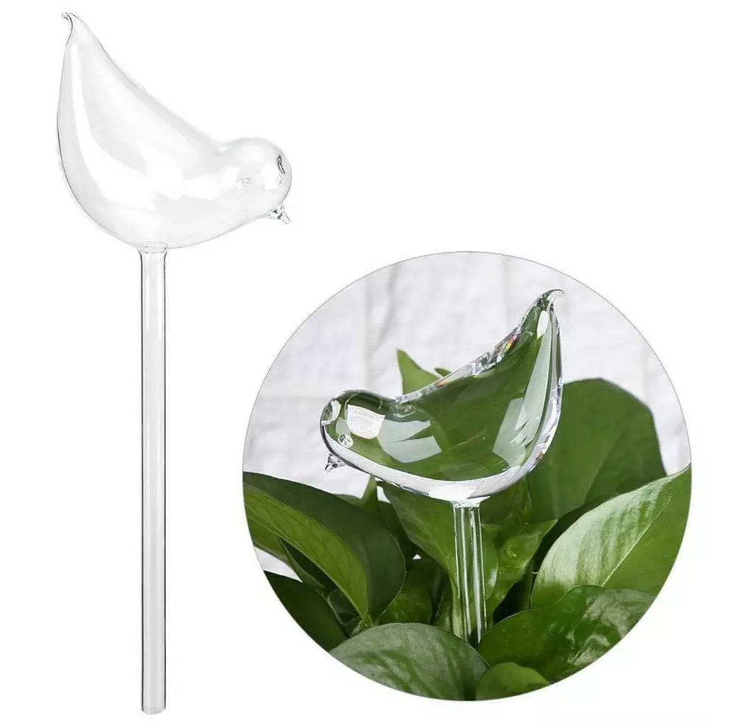 Plant feeder