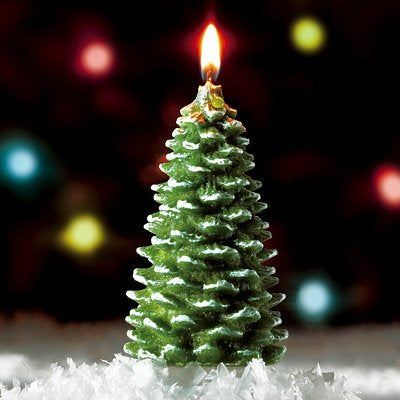 Frosted Christmas Tree Tealights