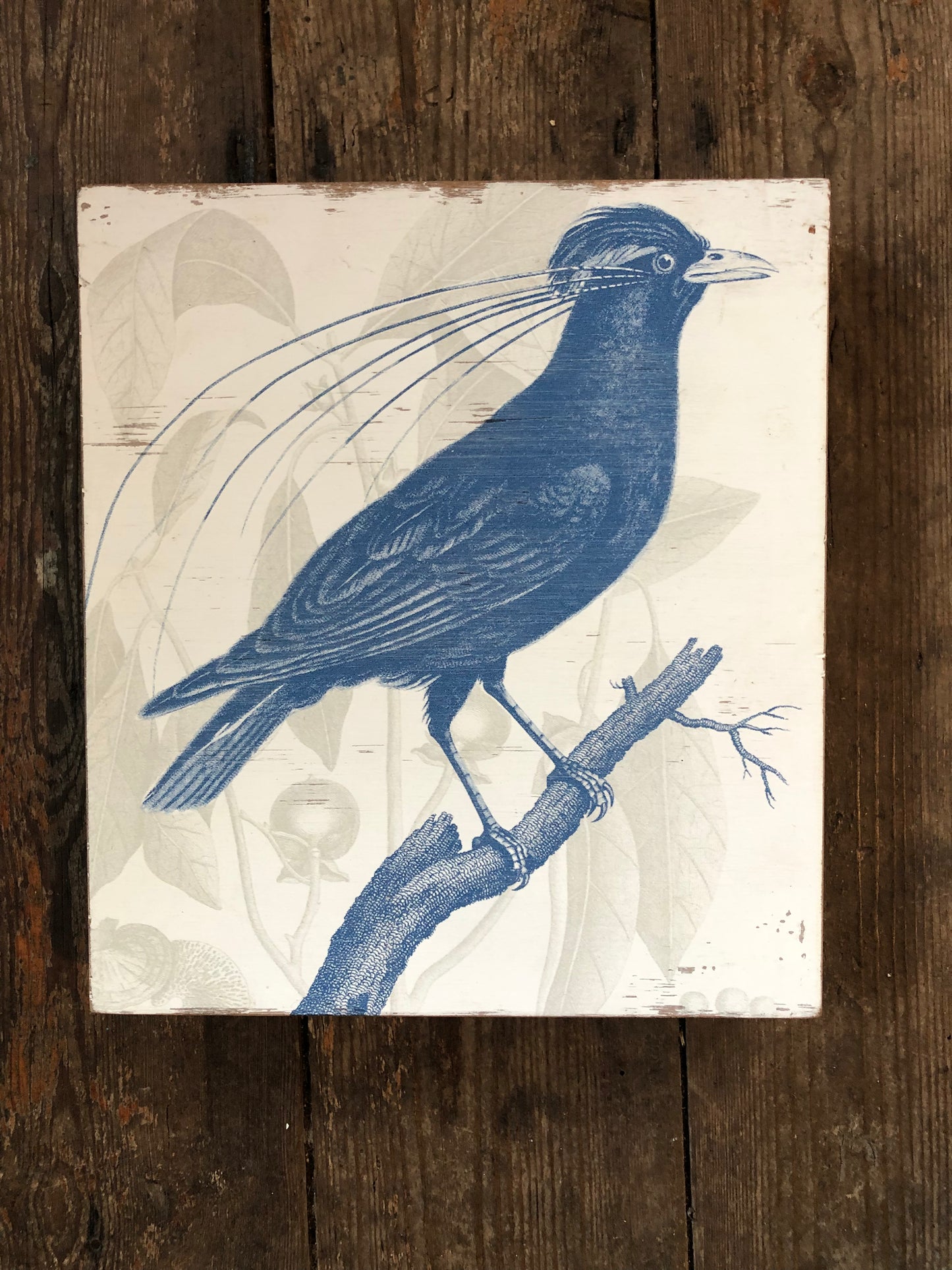 Botanical Bird Art