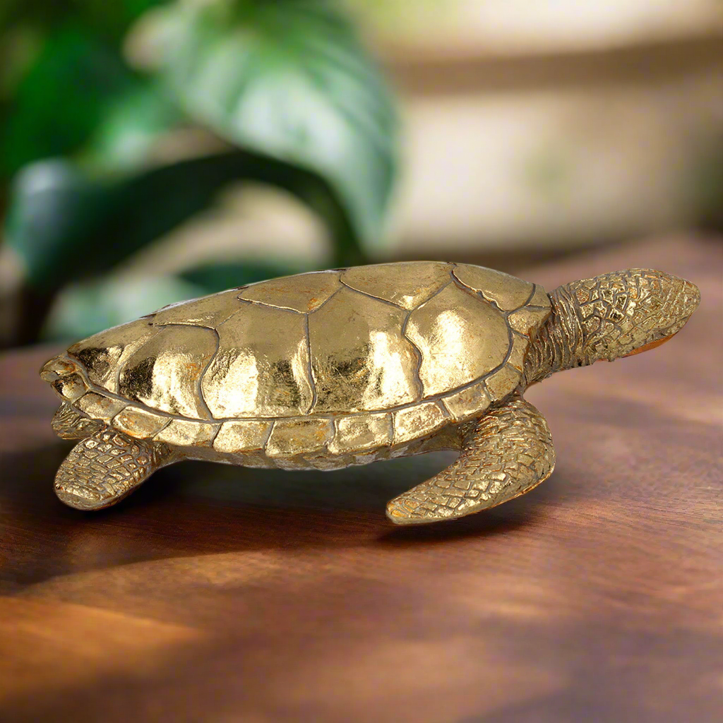 Gold Sea Turtle