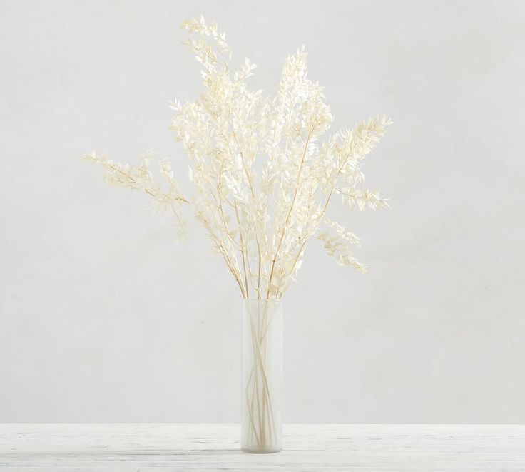 White Dried and Preserved Ruscus