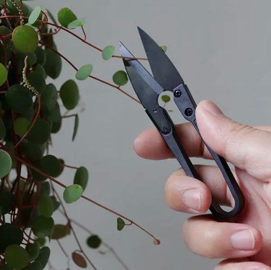 Plant Propagation Snips