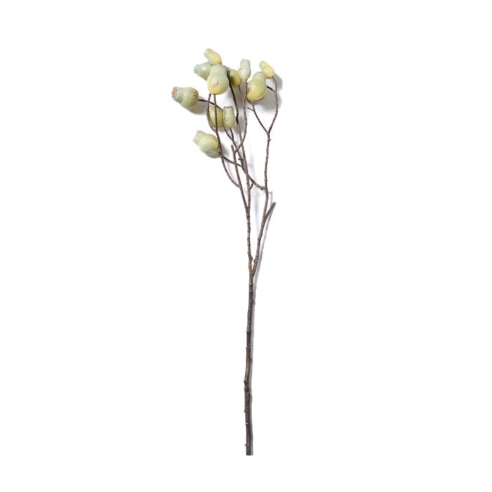 Faux Eucalyptus Seed Pod Stem