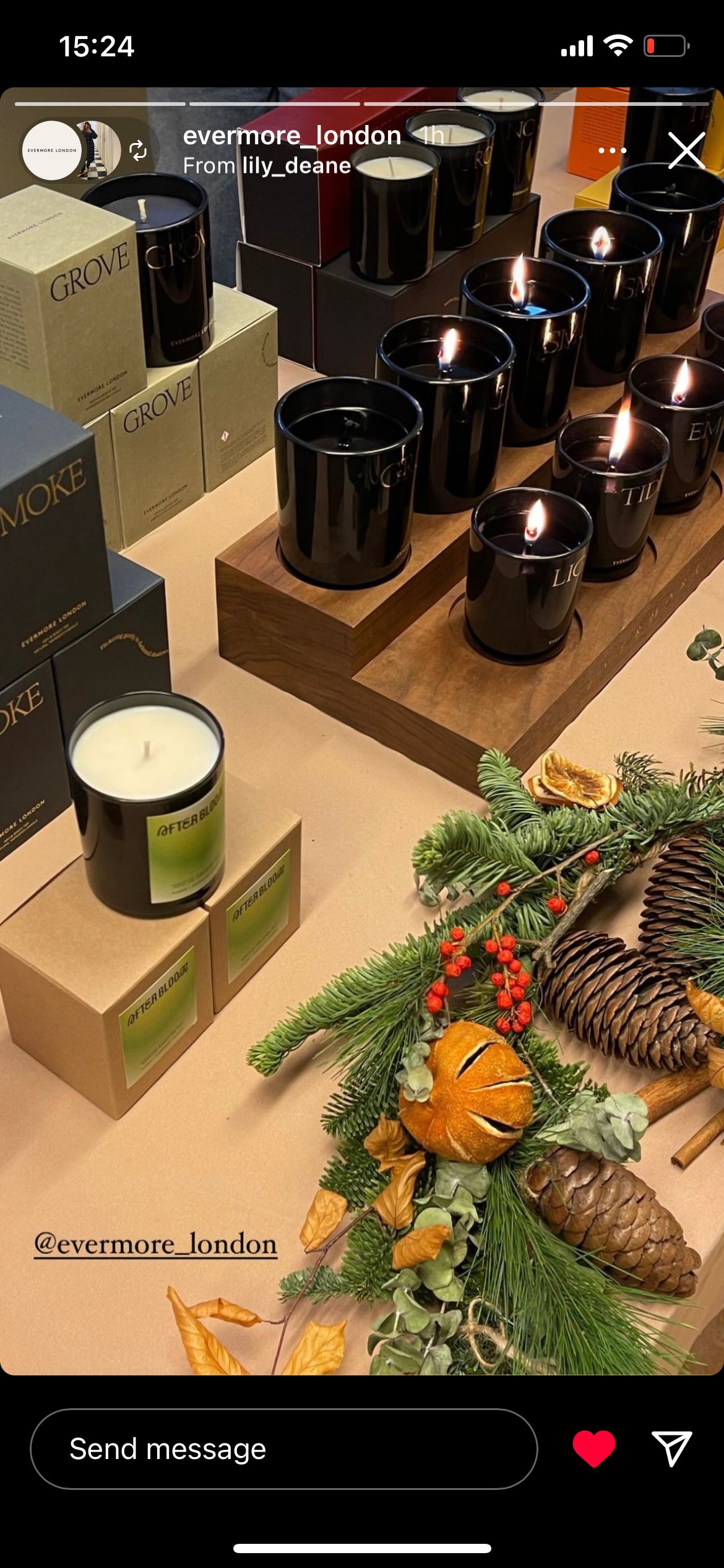 Festive Natural Garland