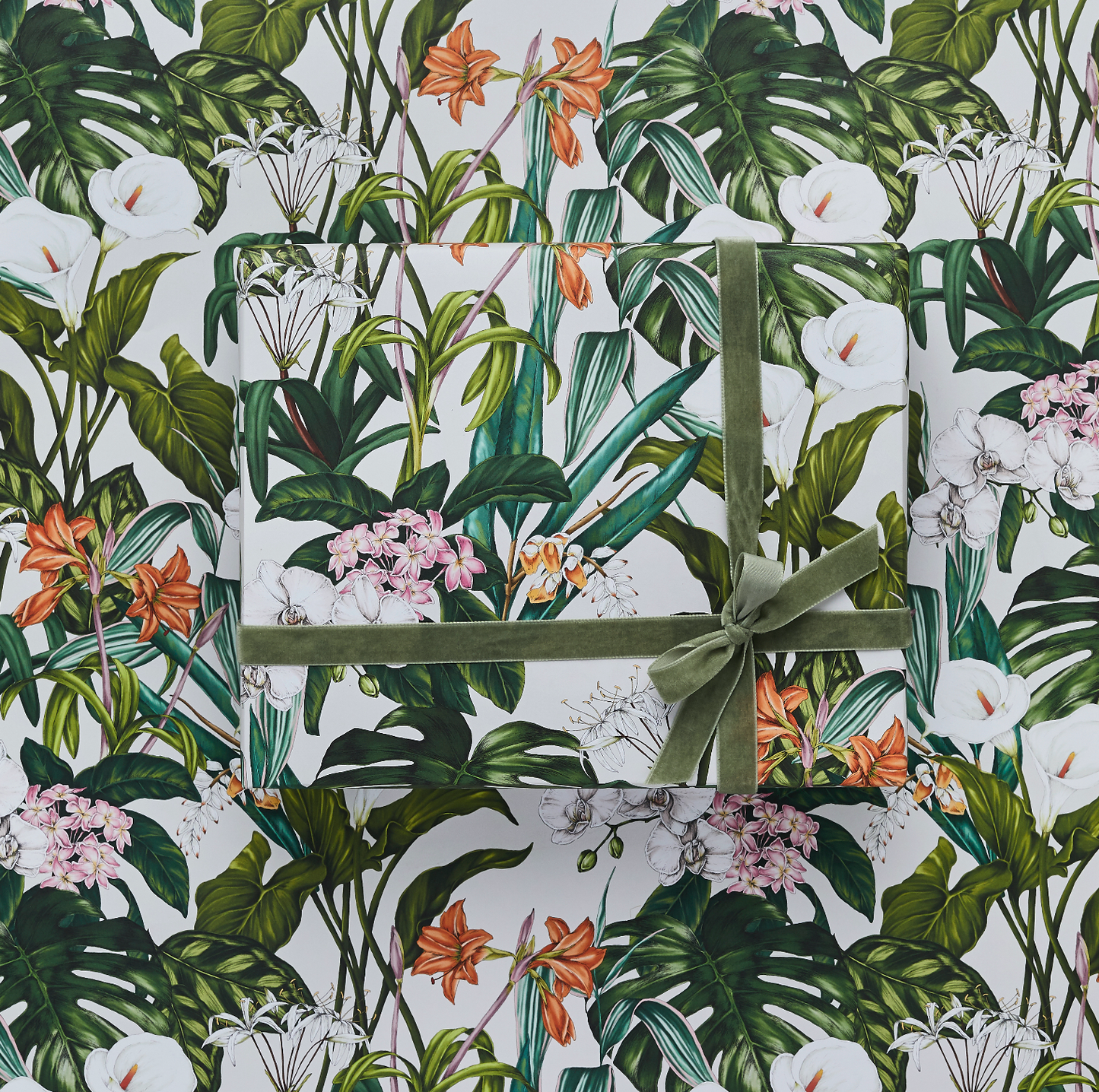 Palm House Tropics - Ivory - Gift Wrap