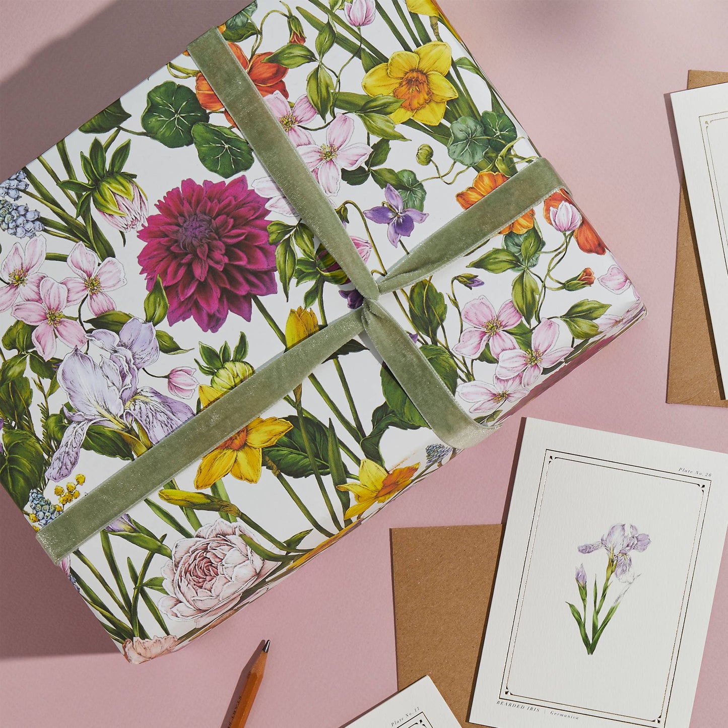 Bountiful Blooms - Ivory - Floral Gift Wrap / Botanical Paper