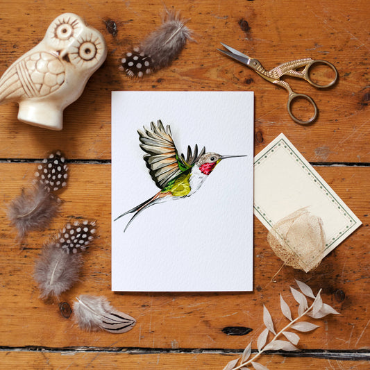 Hummingbird Pop Out Bird Watercolour Greetings Card