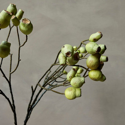 Faux Eucalyptus Seed Pod Stem