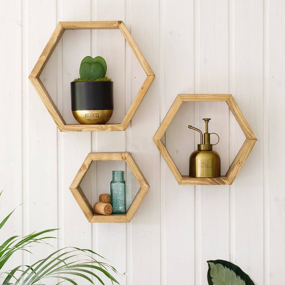 Hoya Kerrii - Double Heart